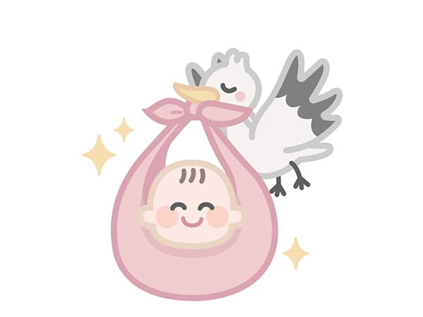 コウノトリが赤ちゃんを運んでいるイラスト